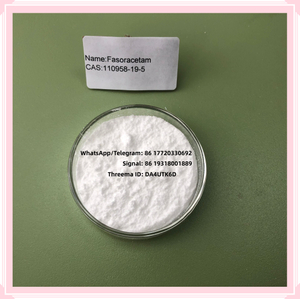 High Purity Fasoracetam Powder for Brain Improvement CAS 110958-19-5