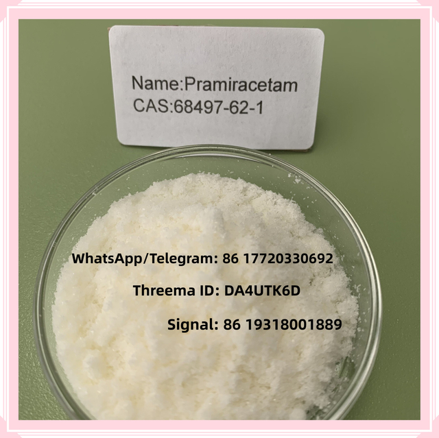 Factory Supply Pramiracetam Powder with Bulk Price CAS 68497-62-1